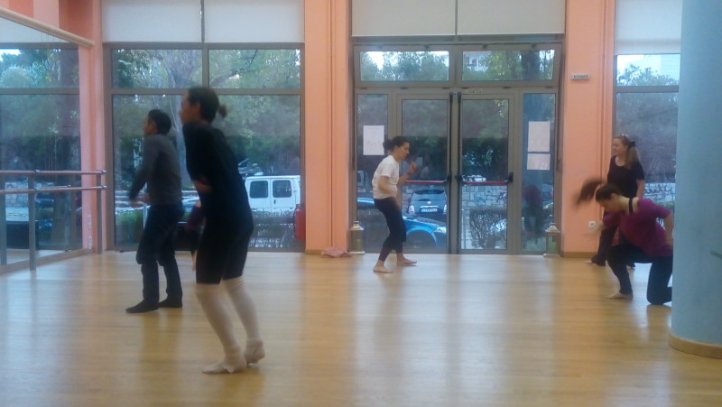 ΧΟΡΟΣΑΝΑΠΗΡΙΑ – D.D. DanceDisability 